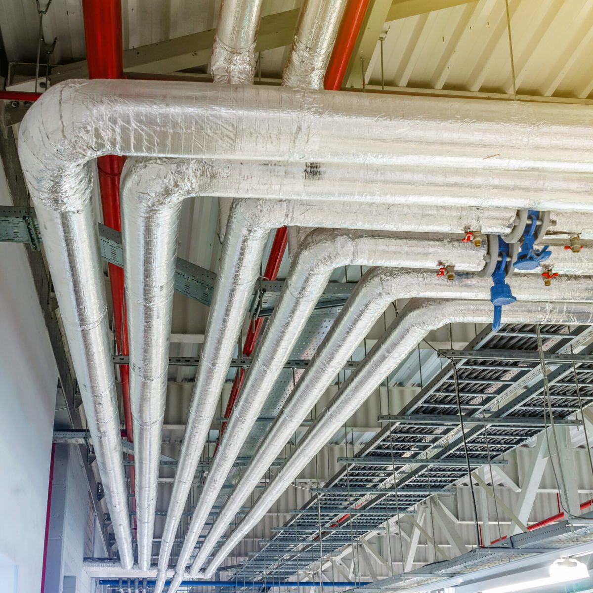 Metal pipes in thermal insulation winding on the ceiling of an industrial enterprise.